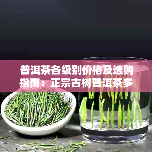 普洱茶各级别价格及选购指南：正宗古树普洱茶多少钱一斤？