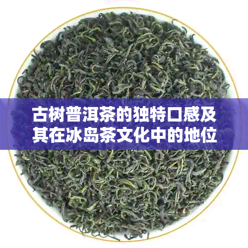 古树普洱茶的独特口感及其在冰岛茶文化中的地位