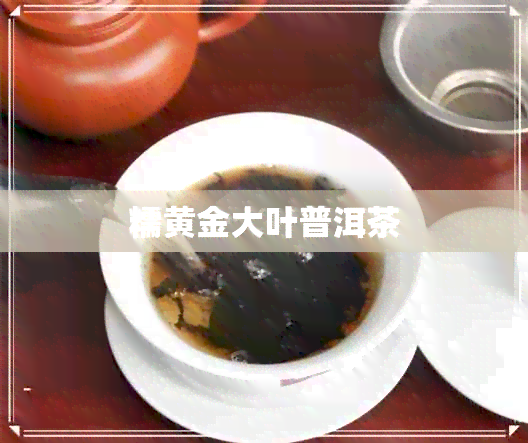 糯黄金大叶普洱茶