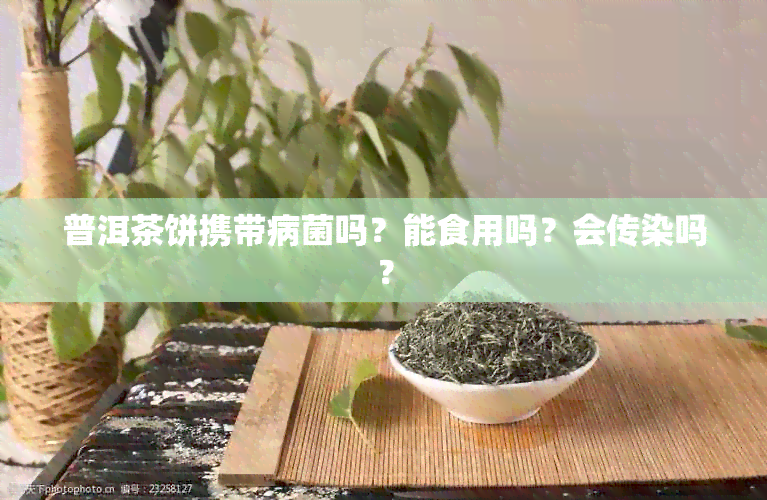 普洱茶饼携带病菌吗？能食用吗？会传染吗？