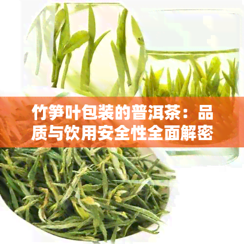 竹笋叶包装的普洱茶：品质与饮用安全性全面解密