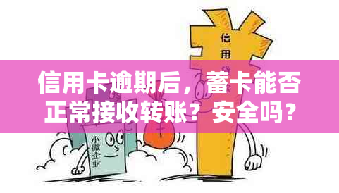 信用卡逾期后，蓄卡能否正常接收转账？安全吗？