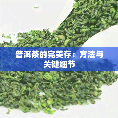 普洱茶的完美存：方法与关键细节