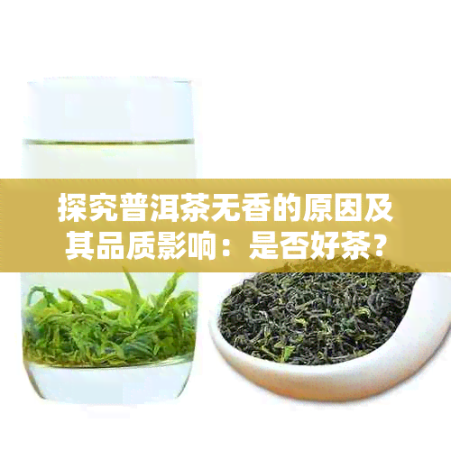 探究普洱茶无香的原因及其品质影响：是否好茶？