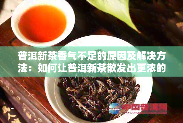 普洱新茶香气不足的原因及解决方法：如何让普洱新茶散发出更浓的香气