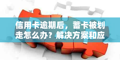 信用卡逾期后，蓄卡被划走怎么办？解决方案和应对措大揭秘！