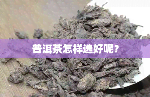 普洱茶怎样选好呢？