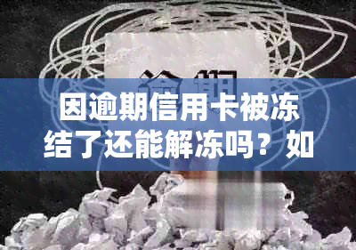 因逾期信用卡被冻结了还能解冻吗？如何解开逾期后信用卡的冻结状态？