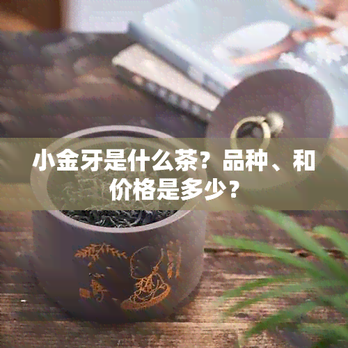 小金牙是什么茶？品种、和价格是多少？