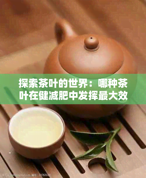 探索茶叶的世界：哪种茶叶在健减肥中发挥更大效果？