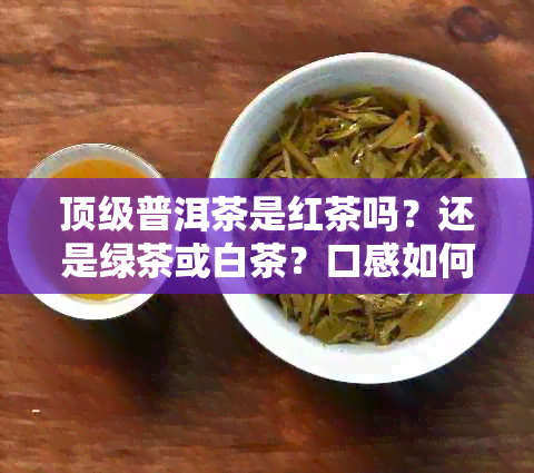 顶级普洱茶是红茶吗？还是绿茶或白茶？口感如何？