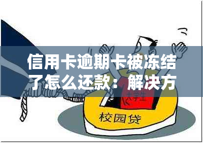 信用卡逾期卡被冻结了怎么还款：解决方法与解冻步骤