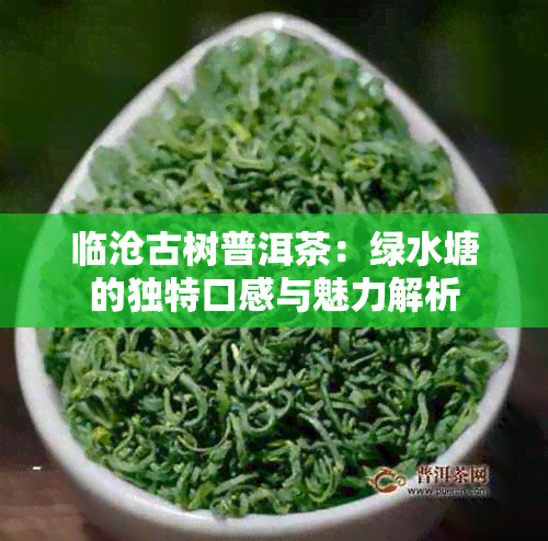 临沧古树普洱茶：绿水塘的独特口感与魅力解析