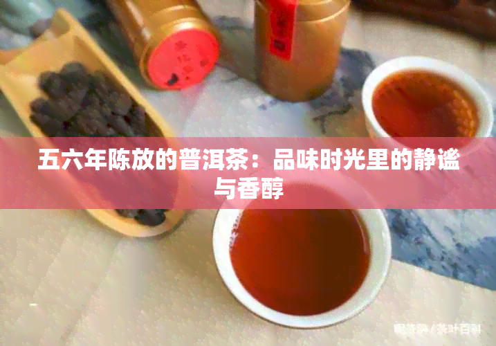 五六年陈放的普洱茶：品味时光里的静谧与香醇