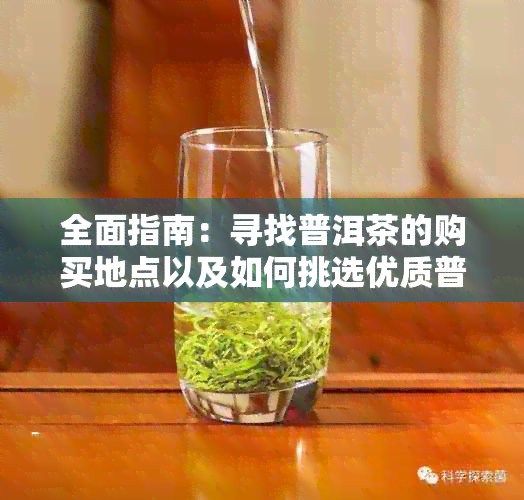 全面指南：寻找普洱茶的购买地点以及如何挑选优质普洱茶