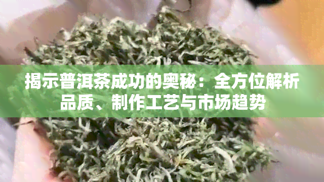 揭示普洱茶成功的奥秘：全方位解析品质、制作工艺与市场趋势