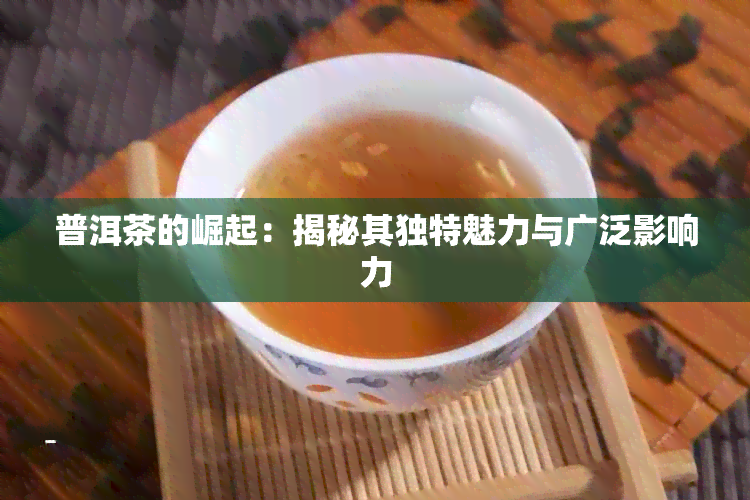 普洱茶的崛起：揭秘其独特魅力与广泛影响力