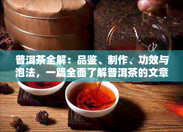 普洱茶全解：品鉴、制作、功效与泡法，一篇全面了解普洱茶的文章