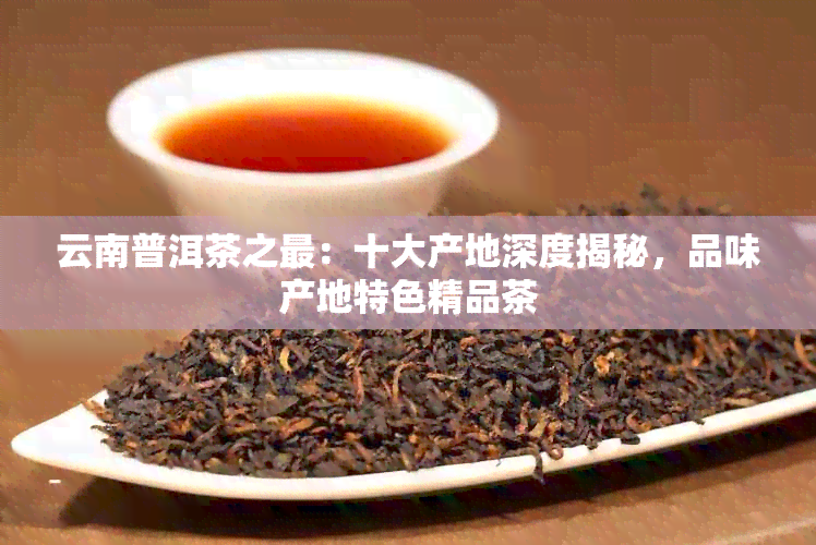 云南普洱茶之最：十大产地深度揭秘，品味产地特色精品茶