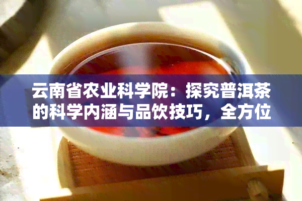 云南省农业科学院：探究普洱茶的科学内涵与品饮技巧，全方位解答您的疑问