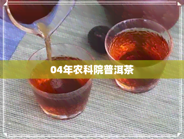 04年农科院普洱茶