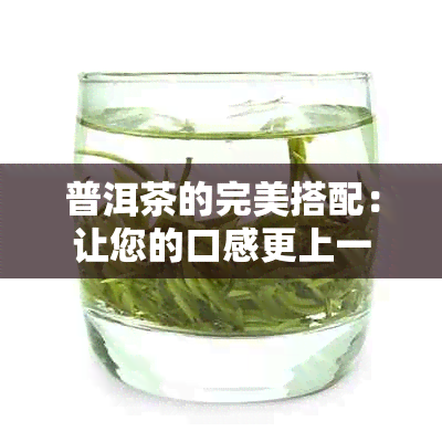 普洱茶的完美搭配：让您的口感更上一层楼