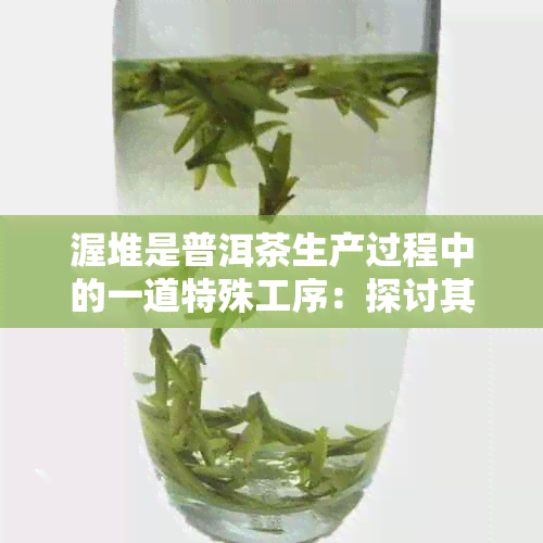 渥堆是普洱茶生产过程中的一道特殊工序：探讨其重要性与作用