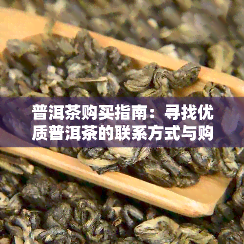 普洱茶购买指南：寻找优质普洱茶的联系方式与购买渠道全面解析