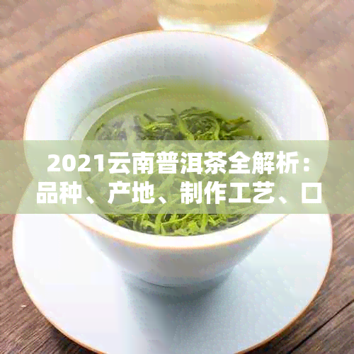 2021云南普洱茶全解析：品种、产地、制作工艺、口感、收藏价值等全方位指南