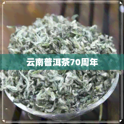 云南普洱茶70周年