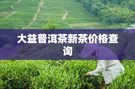 大益普洱茶新茶价格查询