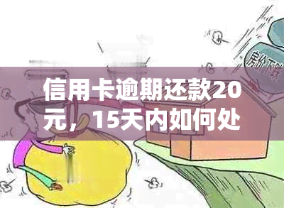 信用卡逾期还款20元，15天内如何处理以避免更多费用和信用影响？