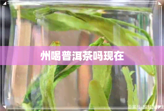 州喝普洱茶吗现在