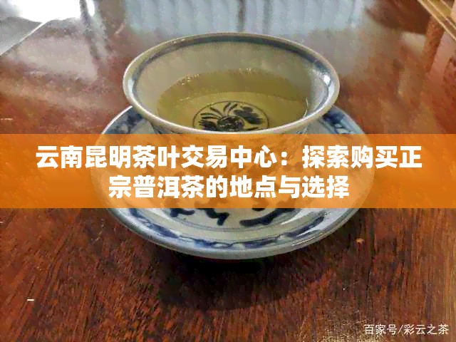 云南昆明茶叶交易中心：探索购买正宗普洱茶的地点与选择