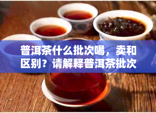 普洱茶什么批次喝，卖和区别？请解释普洱茶批次的意义。