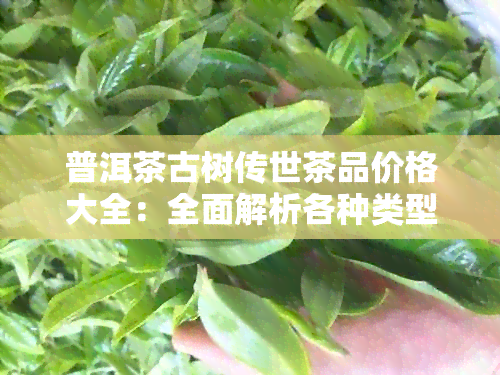 普洱茶古树传世茶品价格大全：全面解析各种类型与等级茶叶的市场价格