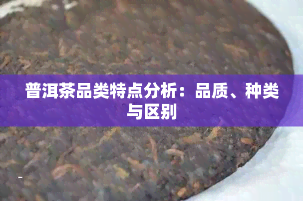 普洱茶品类特点分析：品质、种类与区别