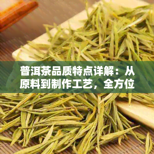 普洱茶品质特点详解：从原料到制作工艺，全方位了解普洱茶的品质优劣