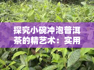 探究小碗冲泡普洱茶的精艺术：实用方法与口感提升