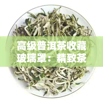 高级普洱茶收藏玻璃罩：精致茶具的视觉宴