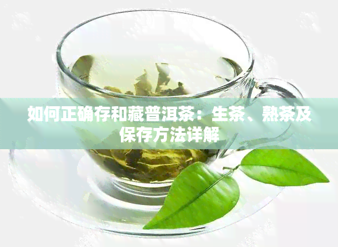 如何正确存和藏普洱茶：生茶、熟茶及保存方法详解