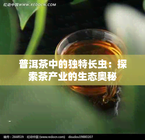 普洱茶中的独特长虫：探索茶产业的生态奥秘