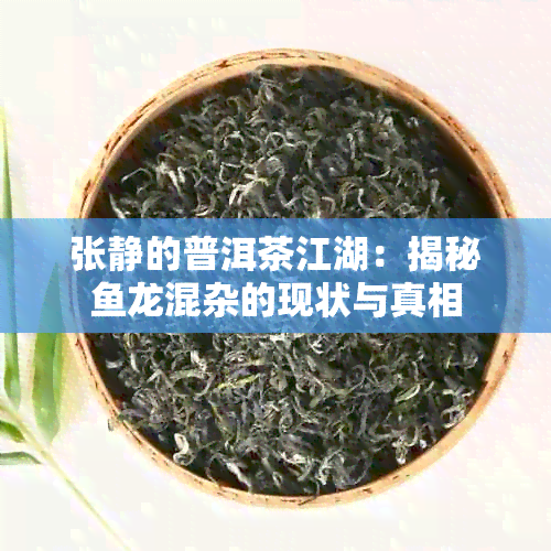 张静的普洱茶江湖：揭秘龙混杂的现状与真相