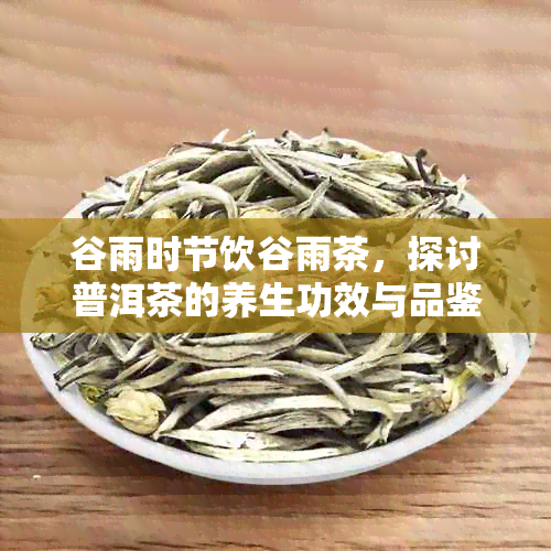 谷雨时节饮谷雨茶，探讨普洱茶的养生功效与品鉴技巧