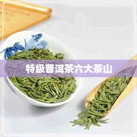 特级普洱茶六大茶山