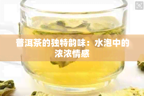 普洱茶的独特韵味：水泡中的浓浓情感