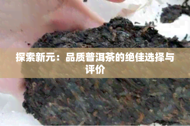 探索新元：品质普洱茶的绝佳选择与评价