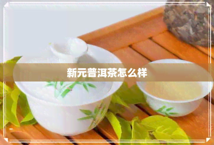 新元普洱茶怎么样