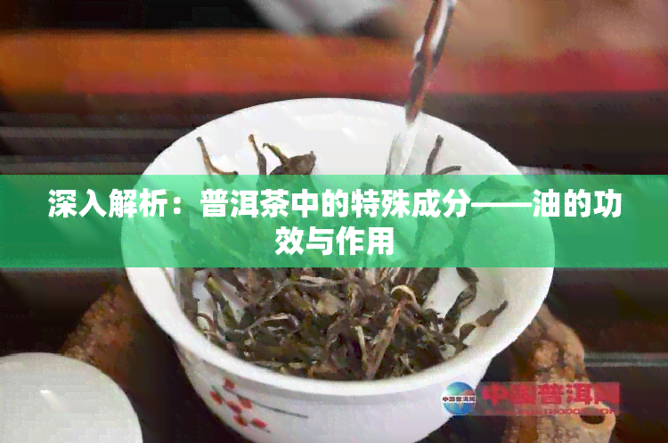 深入解析：普洱茶中的特殊成分——油的功效与作用