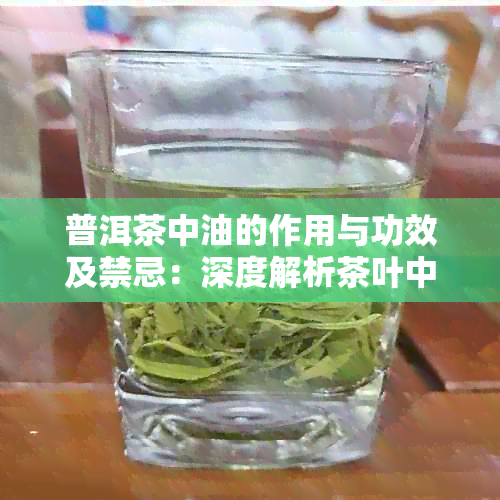 普洱茶中油的作用与功效及禁忌：深度解析茶叶中的化学成分